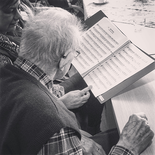 Tulpen uit Amsterdam Tulpen uit Amsterdam