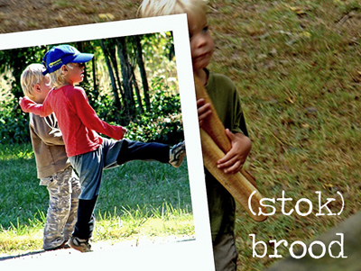 (stok)brood